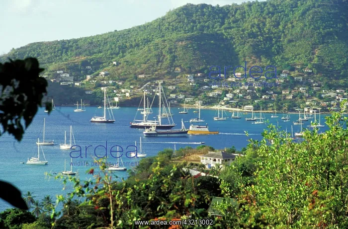: Caribbean, Grenadines, St. Vincent, Bequia : Caribbean, Grenadines, St. Vincent, Bequia