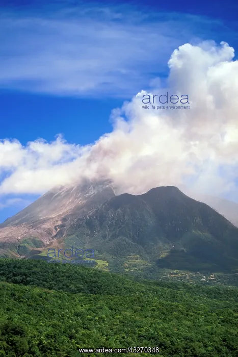 : Caribbean, Montserrat, Soufriere Hills : Caribbean, Montserrat, Soufriere Hills