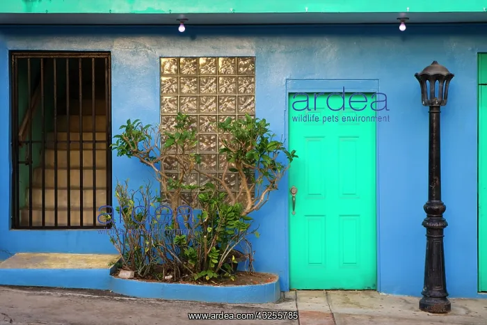 : Caribbean, Puerto Rico, Viegues Island : Caribbean, Puerto Rico, Viegues Island