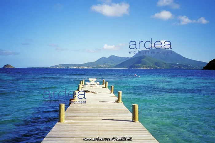 : Caribbean, St. Kitts. Turtle Bay view : Caribbean, St. Kitts. Turtle Bay view