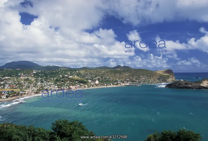 : Caribbean, St. Lucia, Dennery. Town view : Caribbean, St. Lucia, Dennery. Town view