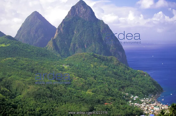 : Caribbean, St. Lucia, Soufriere. Morning : Caribbean, St. Lucia, Soufriere. Morning
