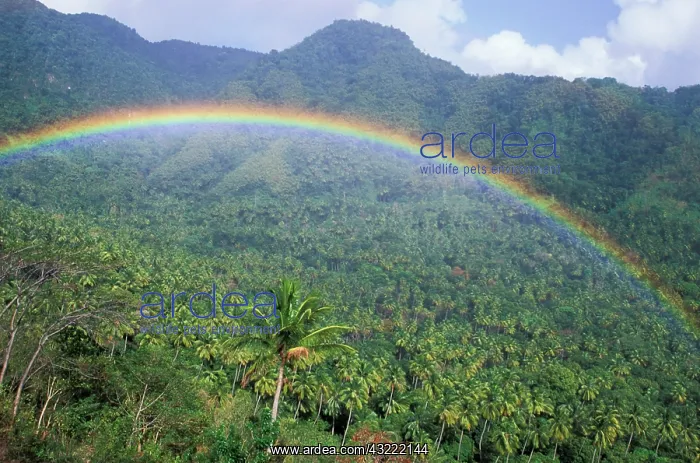 : Caribbean, St. Lucia, Soufriere. Rainbow : Caribbean, St. Lucia, Soufriere. Rainbow