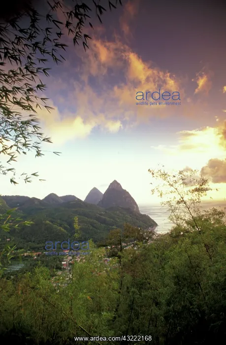 : Caribbean, St. Lucia, Soufriere. Sunset : Caribbean, St. Lucia, Soufriere. Sunset