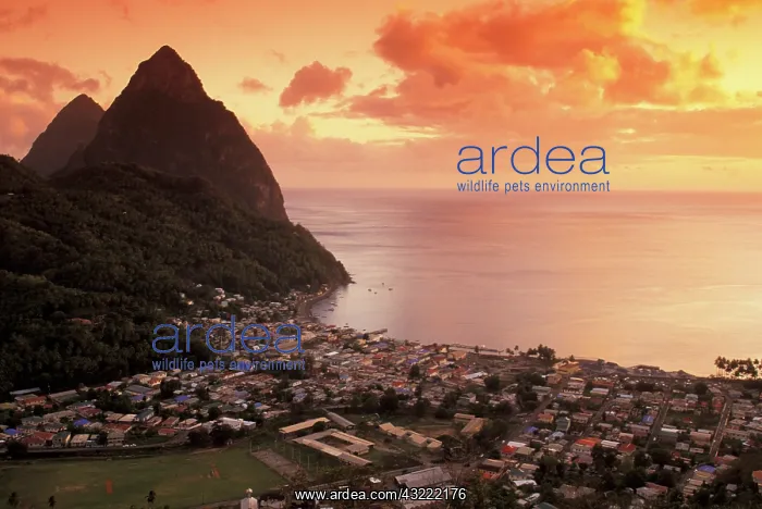 : Caribbean, St. Lucia, Soufriere. Sunset : Caribbean, St. Lucia, Soufriere. Sunset
