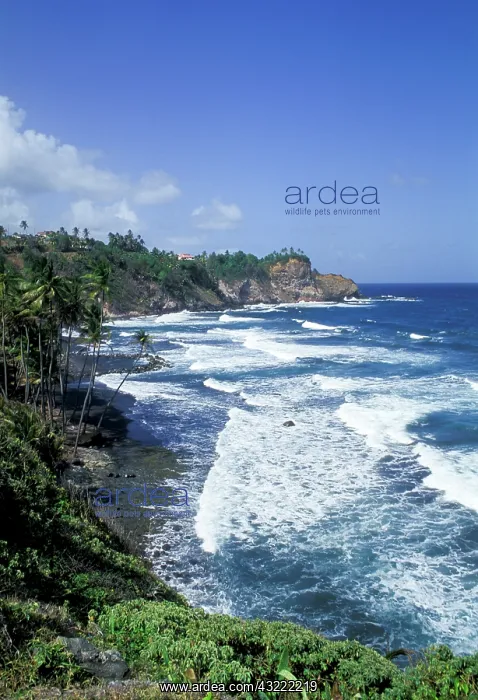 : Caribbean, St. Vincent, Grenadines. Scenic : Caribbean, St. Vincent, Grenadines. Scenic