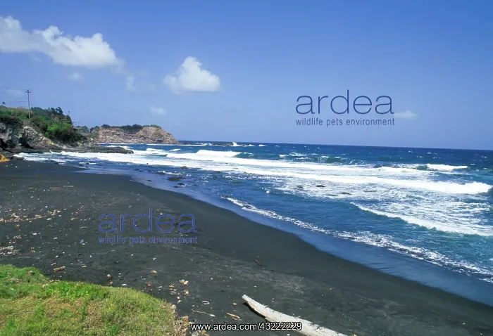 : Caribbean, St. Vincent, Grenadines. Scenic : Caribbean, St. Vincent, Grenadines. Scenic