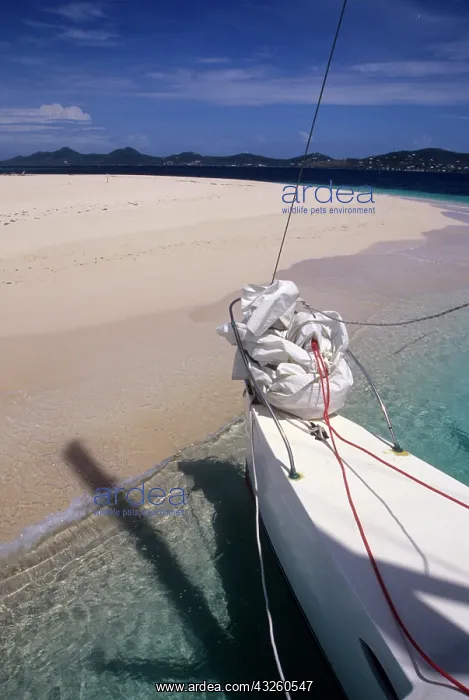 : Caribbean, U.S. Virgin Islands, St. Croix : Caribbean, U.S. Virgin Islands, St. Croix