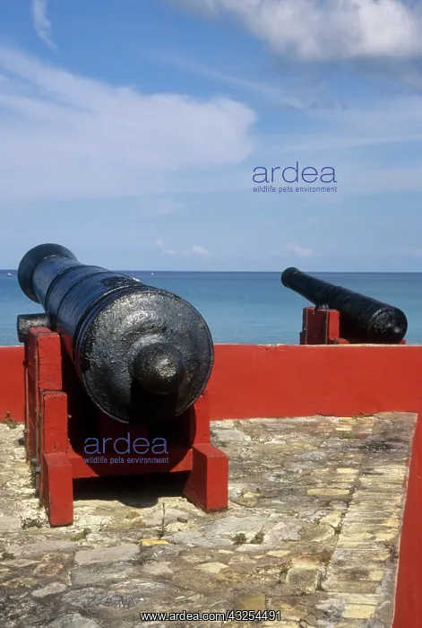 : Caribbean, US Virgin Islands, St Croix : Caribbean, US Virgin Islands, St Croix