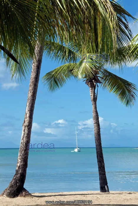 : Carlisle Bay beach, Antigua, West Indies : Carlisle Bay beach, Antigua, West Indies