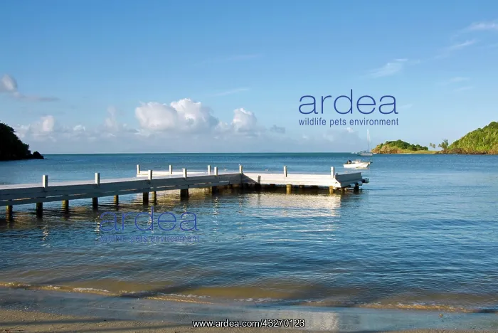 : Carlisle Bay beach, Antigua, West Indies : Carlisle Bay beach, Antigua, West Indies