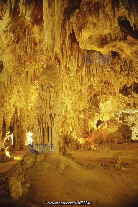 : Carlsbad Caverns : Carlsbad Caverns
