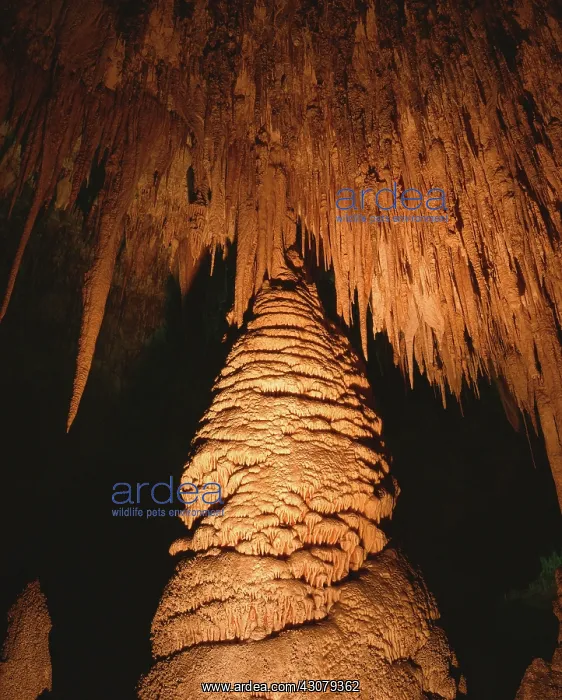 : Carlsbad Caverns : Carlsbad Caverns