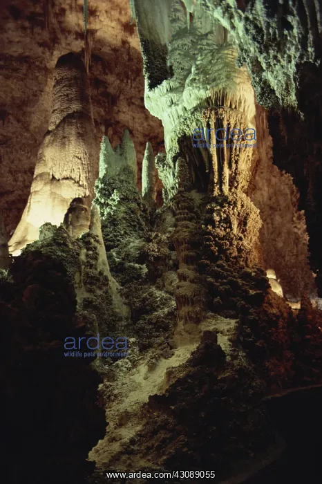 : Carlsbad Caverns : Carlsbad Caverns
