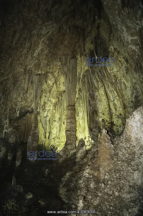  : Carlsbad Caverns