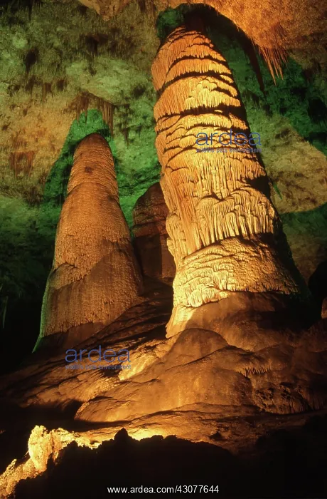 : Carlsbad Caverns National Park : Carlsbad Caverns National Park