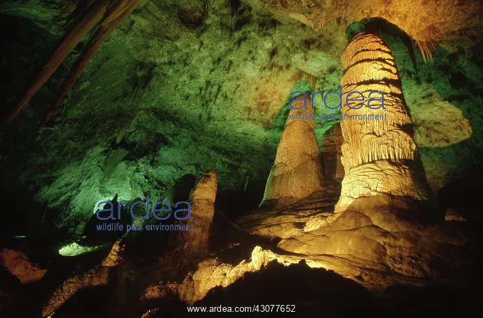 : Carlsbad Caverns National Park : Carlsbad Caverns National Park
