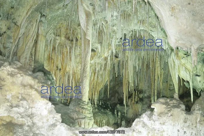 : Carlsbad Caverns National Park : Carlsbad Caverns National Park