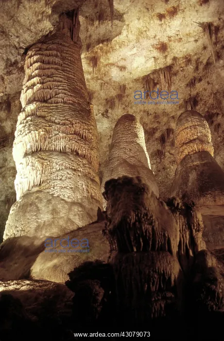 : Carlsbad Caverns, New Mexico : Carlsbad Caverns, New Mexico