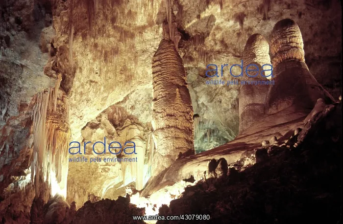 : Carlsbad Caverns, New Mexico : Carlsbad Caverns, New Mexico