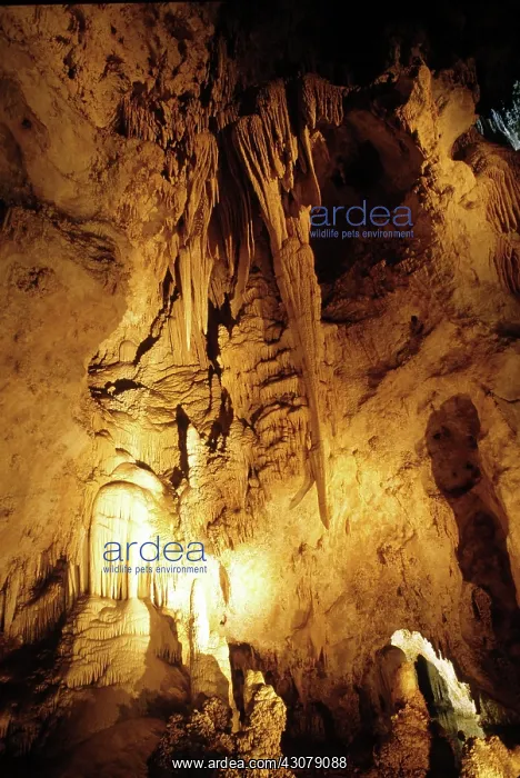 : Carlsbad Caverns, New Mexico : Carlsbad Caverns, New Mexico