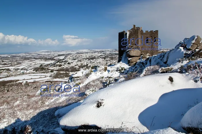 : Carn Brea castle - in snow - looking east to Redruth : Carn Brea castle - in snow - looking east to Redruth