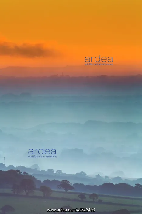 : Carn Brea - Misty Morning - Summer : Carn Brea - Misty Morning - Summer