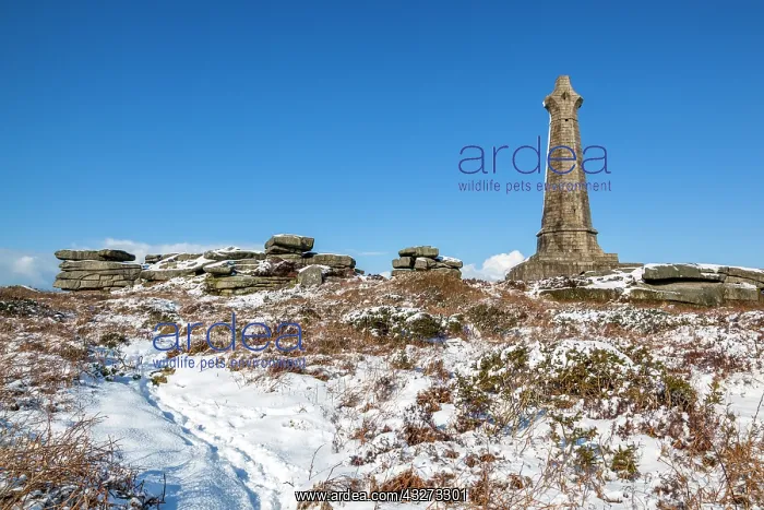 : Carn Brea - Snow - Cornwall - UK : Carn Brea - Snow - Cornwall - UK