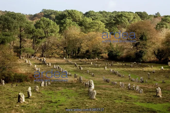  : Carnac menhirs - Neolithic