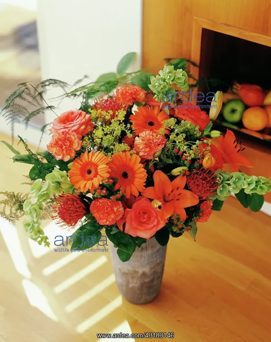 : Carnation, Dianthus, Floral arrangment with Gerberas : Carnation, Dianthus, Floral arrangment with Gerberas