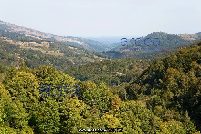 : The Carpathian Mountains west of Baia de : The Carpathian Mountains west of Baia de