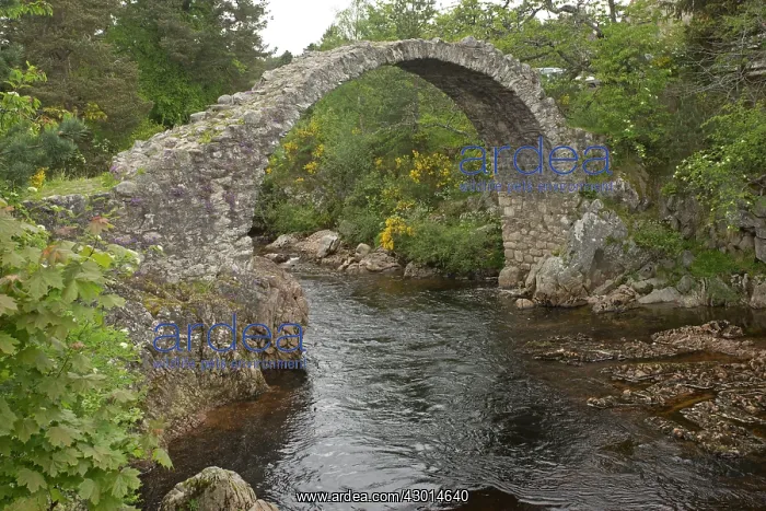: Carrbridge old packhorse Bridge : Carrbridge old packhorse Bridge