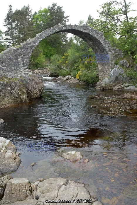 : Carrbridge old packhorse Bridge : Carrbridge old packhorse Bridge
