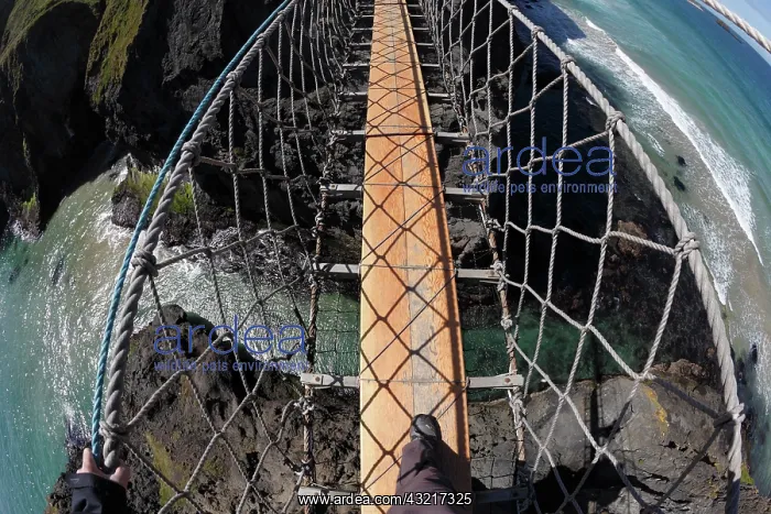 : Carrick-a-Reed Rope Bridge, County Antrim, Northern : Carrick-a-Reed Rope Bridge, County Antrim, Northern