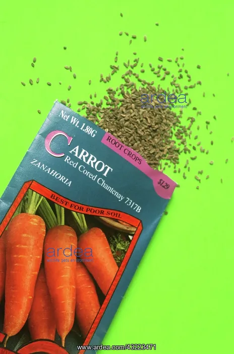 : Carrot seeds in a packet : Carrot seeds in a packet