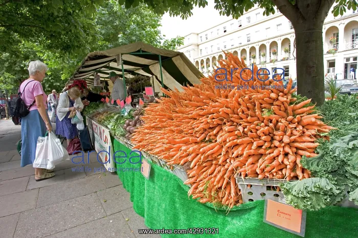 : Carrots for sale at Farmers Market on promenade : Carrots for sale at Farmers Market on promenade