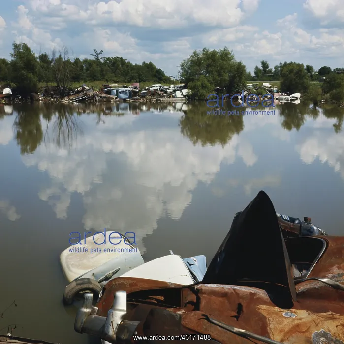  : Cars Dumped at Lake