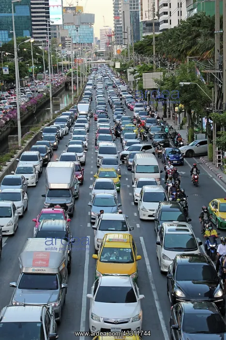 : Cars in traffic jam at rush hour, Bangkok, Thailand : Cars in traffic jam at rush hour, Bangkok, Thailand