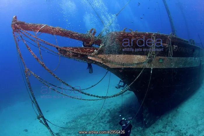: The Carthaginian Wreck : The Carthaginian Wreck