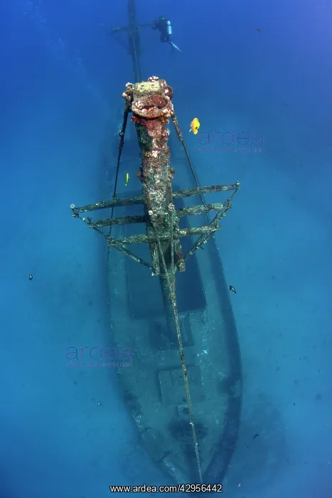 : The Carthaginian Wreck : The Carthaginian Wreck