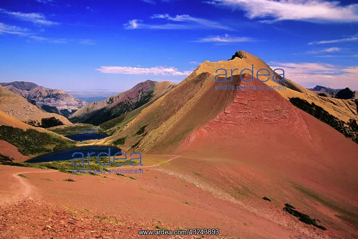 : Carthew Pass in Waterton Lakes National : Carthew Pass in Waterton Lakes National