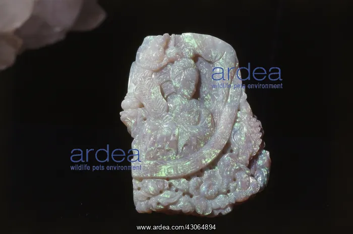 : Carved Opal : Carved Opal