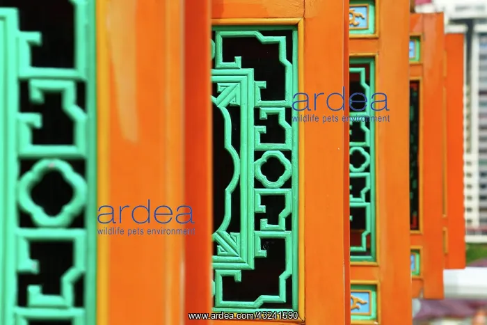 : Carved window shutters on the Thean Hou Chinese Temple : Carved window shutters on the Thean Hou Chinese Temple