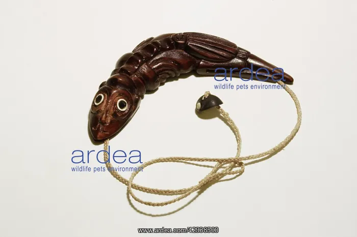: Carved wood pendant of lizard created by craftsman : Carved wood pendant of lizard created by craftsman