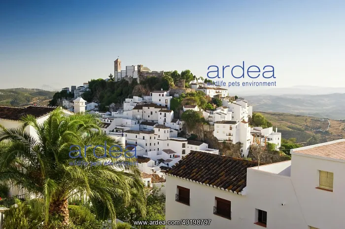 : Casares, near Estepona, Costa del Sol, Andalusia : Casares, near Estepona, Costa del Sol, Andalusia