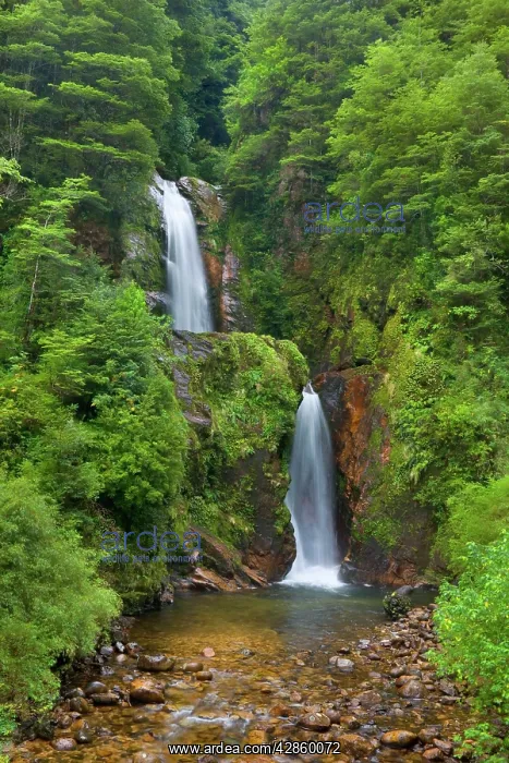 : Cascada de la Virgen / Virgin's Falls - two-tiered : Cascada de la Virgen / Virgin's Falls - two-tiered