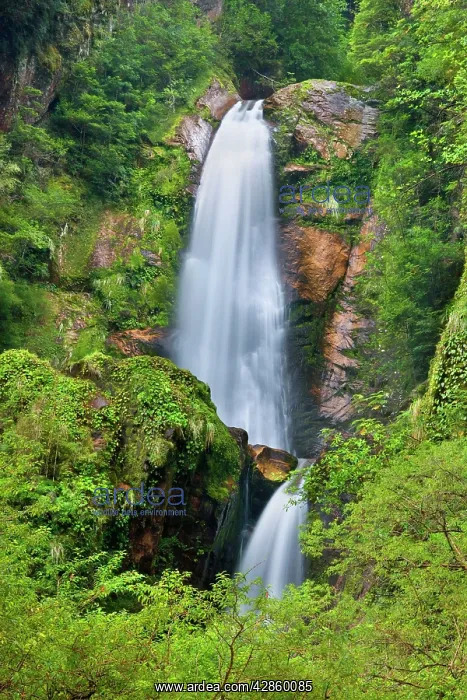 : Cascada de la Virgen / Virgin's Falls - two-tiered : Cascada de la Virgen / Virgin's Falls - two-tiered