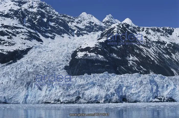: Cascade Glacier : Cascade Glacier