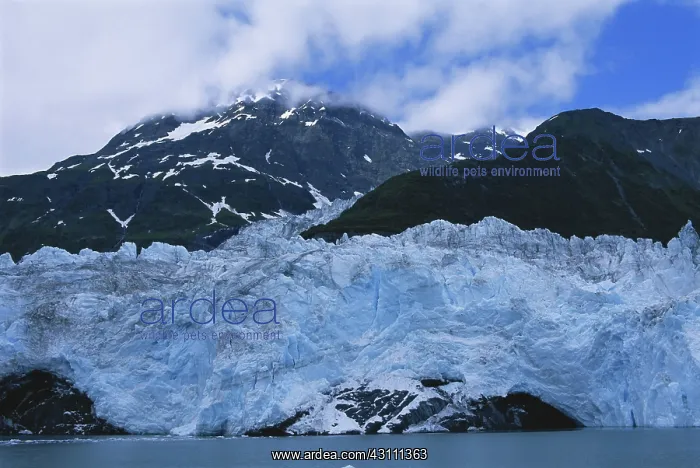  : Cascade Glacier