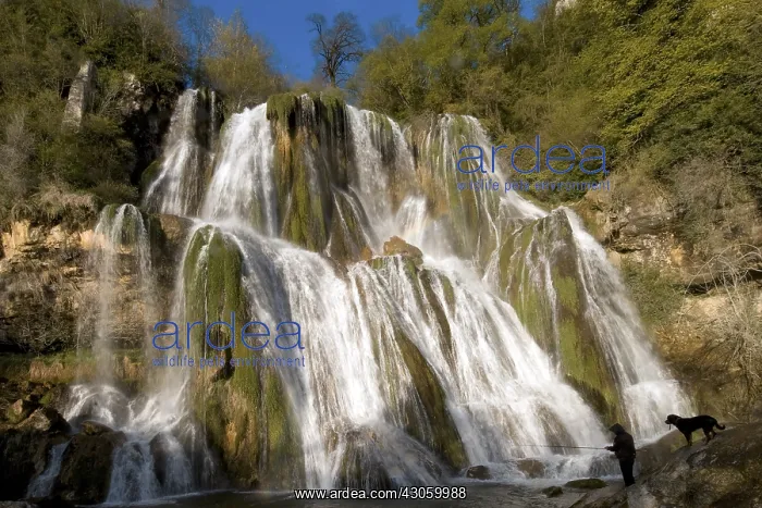 : Cascade of Glandieu in the Bugey France : Cascade of Glandieu in the Bugey France